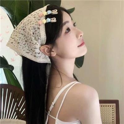 宝岛详细